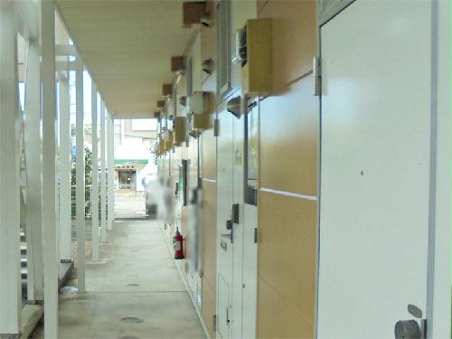 11/14 その他画像