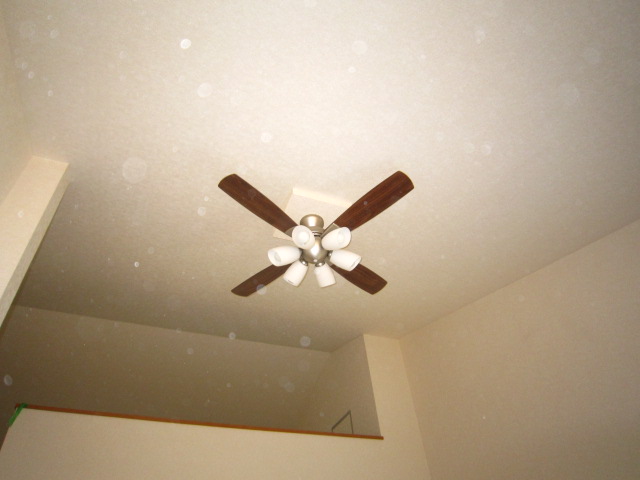 7/12 その他画像