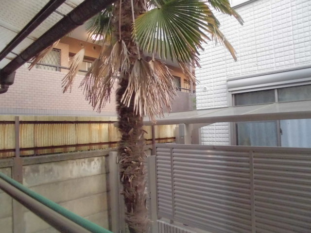 17/22 その他画像