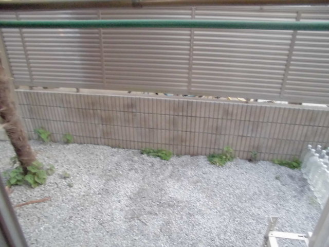 11/22 その他画像