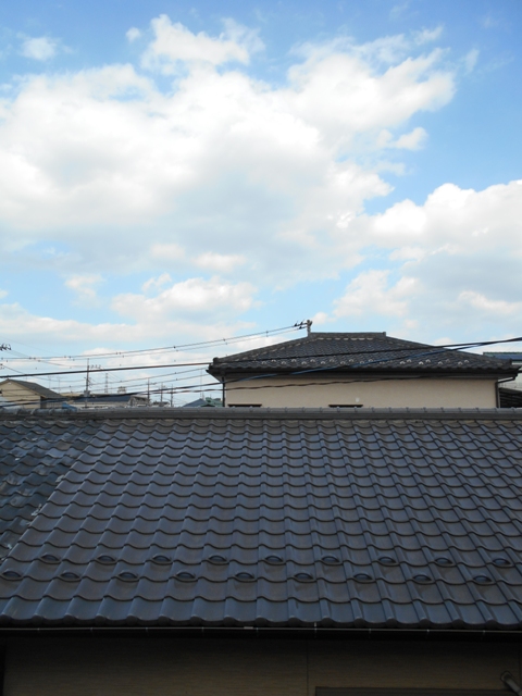 17/29 その他画像