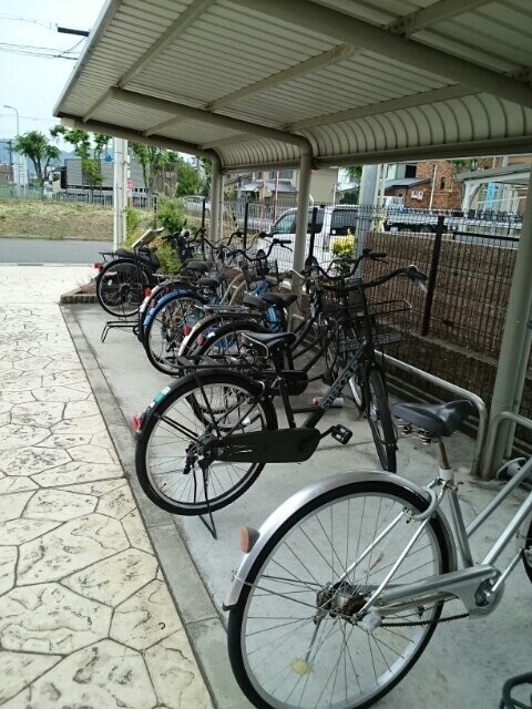 13/20 その他画像