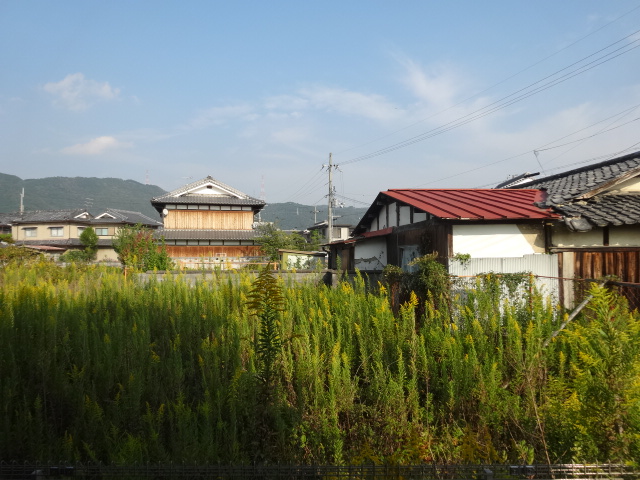 15/30 その他画像