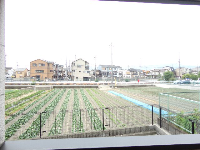 20/28 その他画像