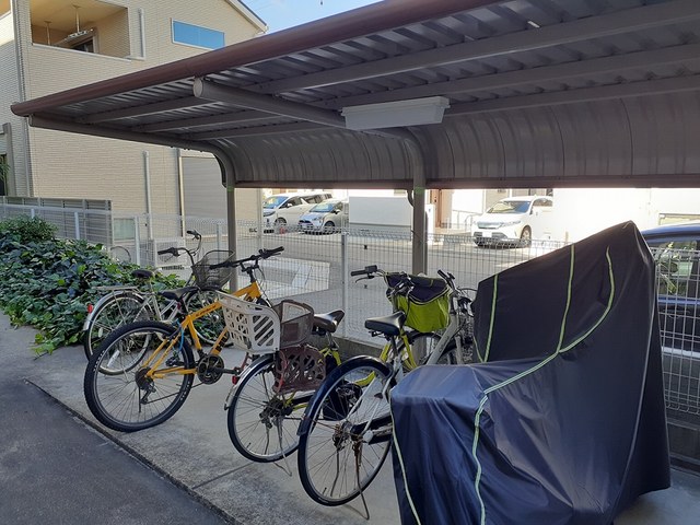 15/24 その他画像