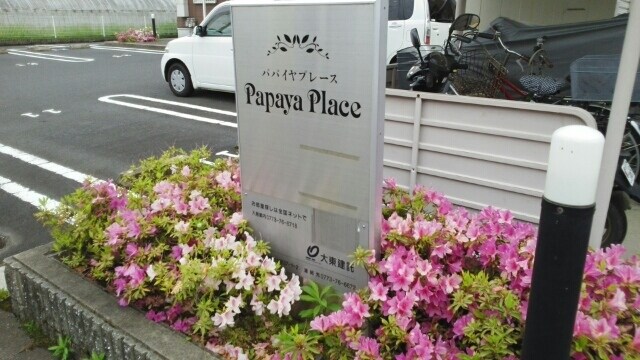 12/20 その他画像