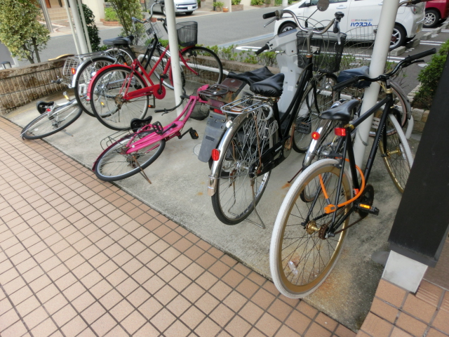 17/28 その他画像