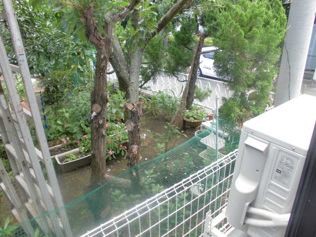 13/23 その他画像