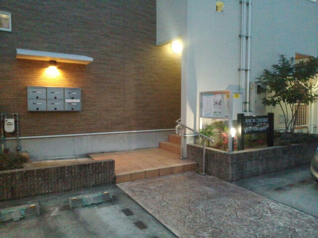 その他共有