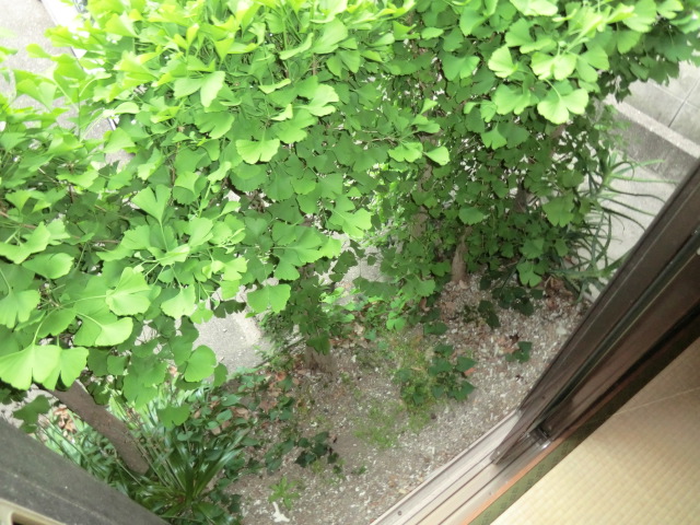 16/28 バルコニー