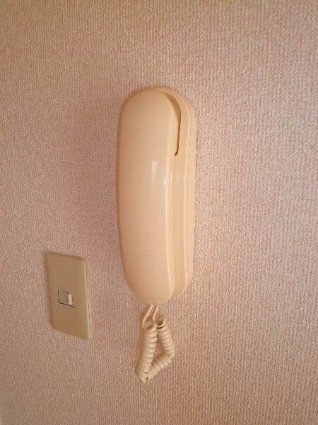 16/24 その他画像