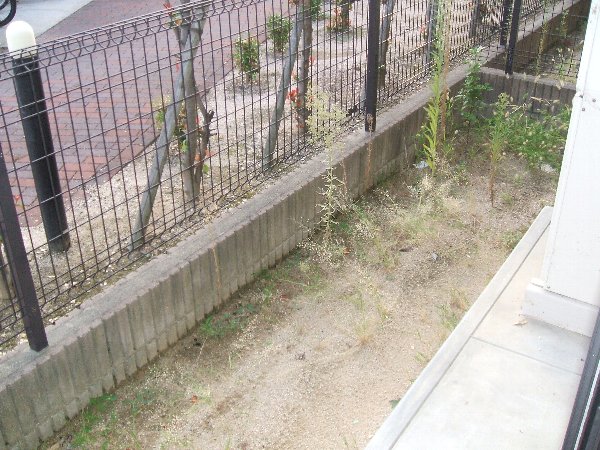 16/24 その他画像