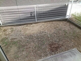 11/20 その他画像