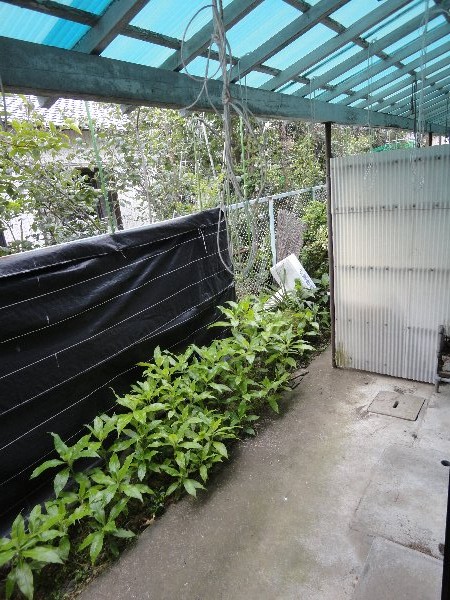 20/22 その他画像