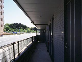 12/12 その他画像