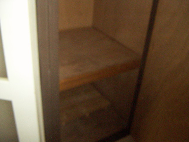 7/18 その他画像