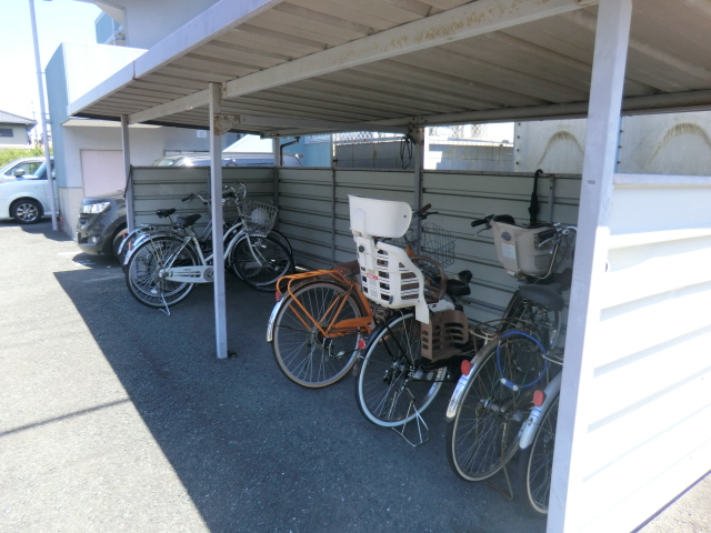 20/30 その他画像