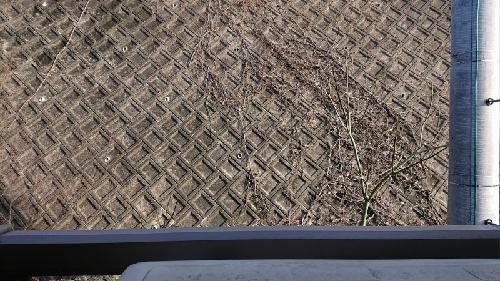 11/23 その他画像