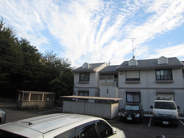 20/30 その他画像