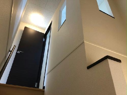 11/14 その他画像