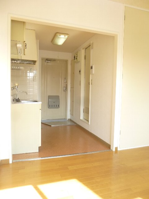 20/30 その他画像