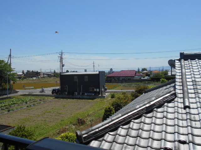 14/19 その他画像