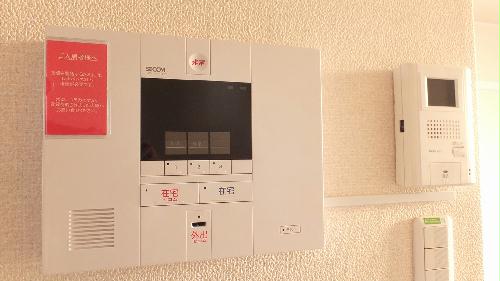 11/15 その他画像