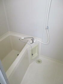 5/15 その他画像