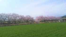 12/19 その他画像