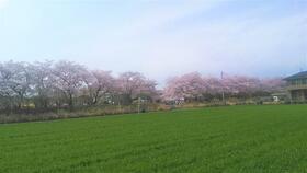 13/15 その他画像