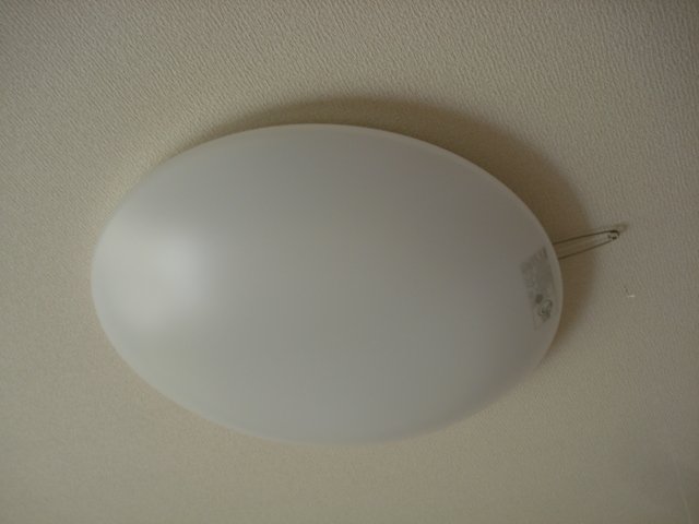 15/30 その他画像