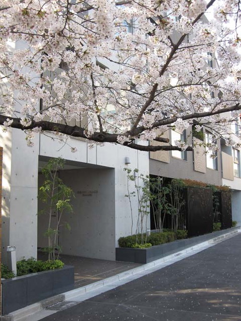 16/19 エントランス