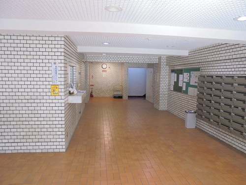 8/20 その他画像