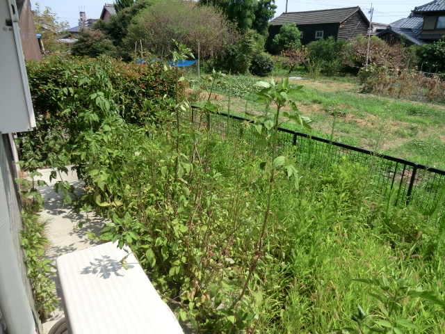 15/23 その他画像