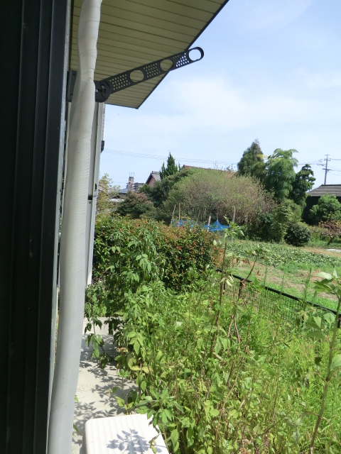 14/23 その他画像