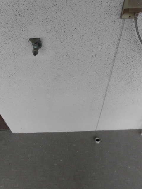 13/17 その他画像