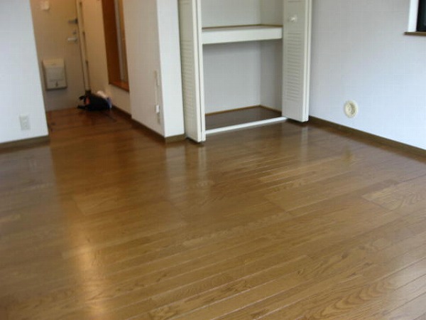 5/28 リビング/ダイニング