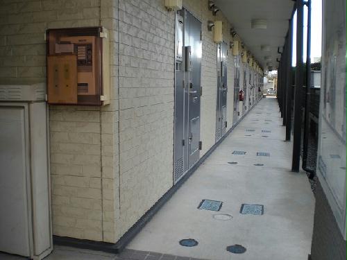 13/17 その他画像