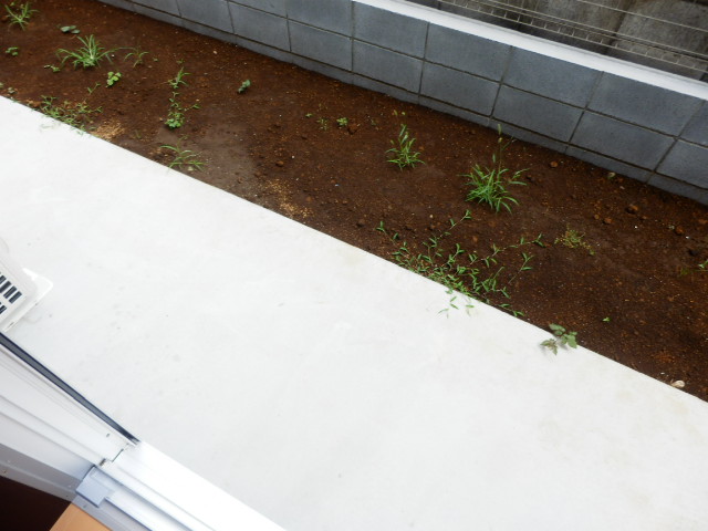 12/30 バルコニー