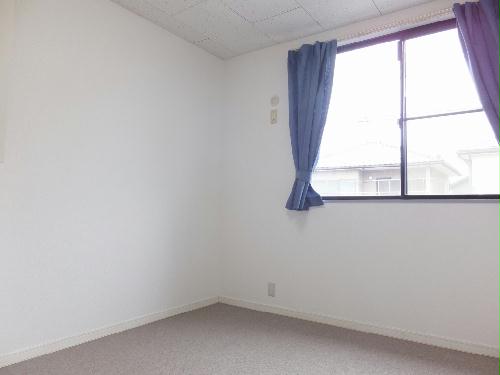 8/14 その他画像