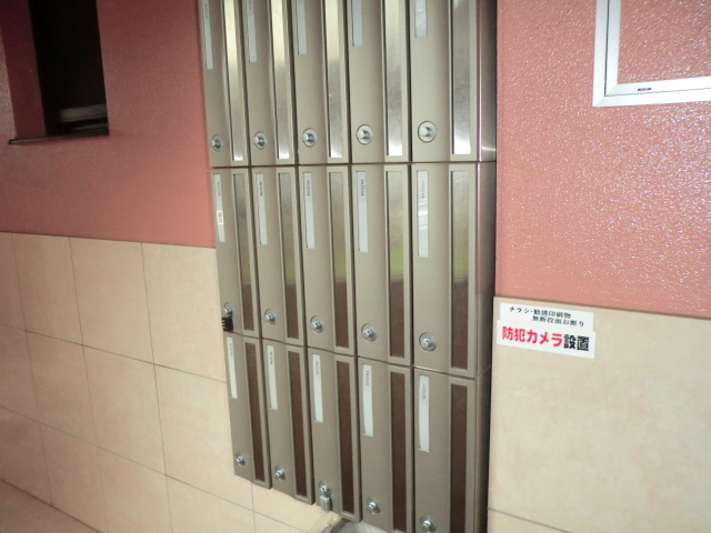 20/30 その他画像