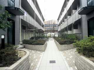 11/14 その他画像