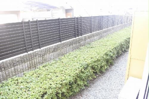 11/14 その他画像