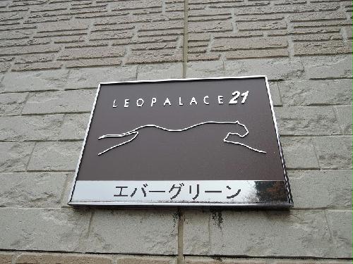 13/18 その他画像