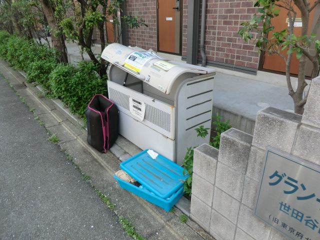 20/30 その他画像