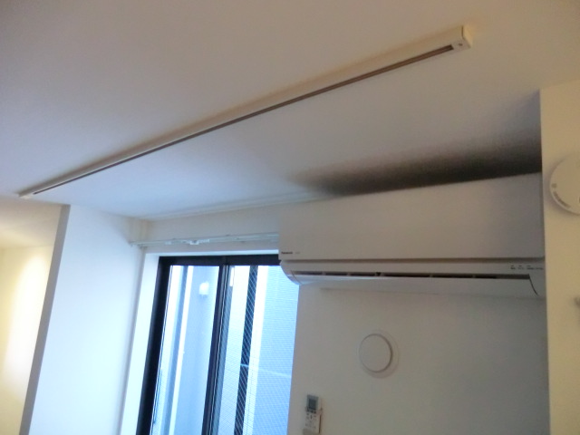 13/25 その他画像