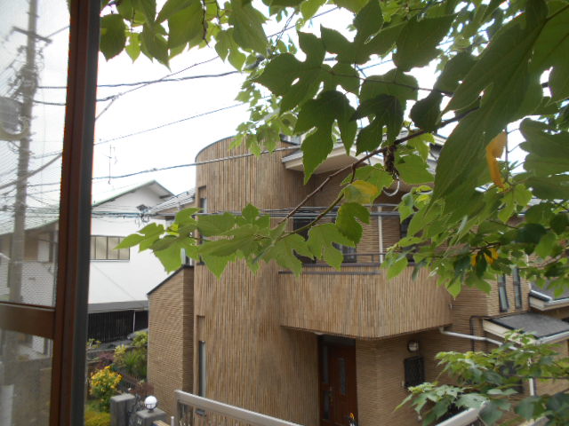 13/23 その他画像