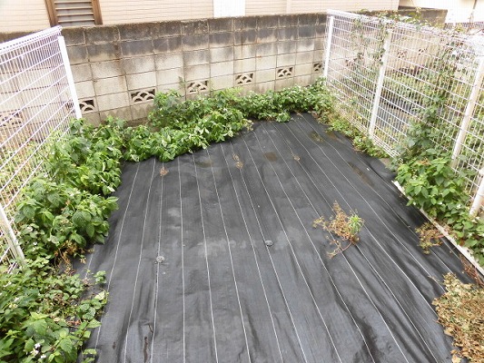 14/28 その他画像