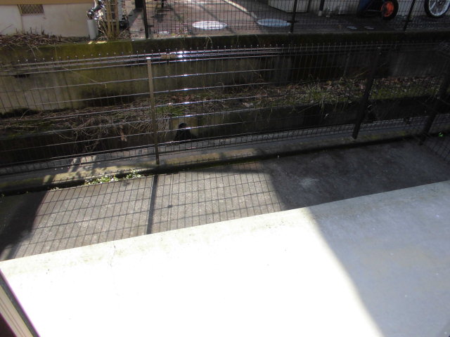 11/16 その他画像