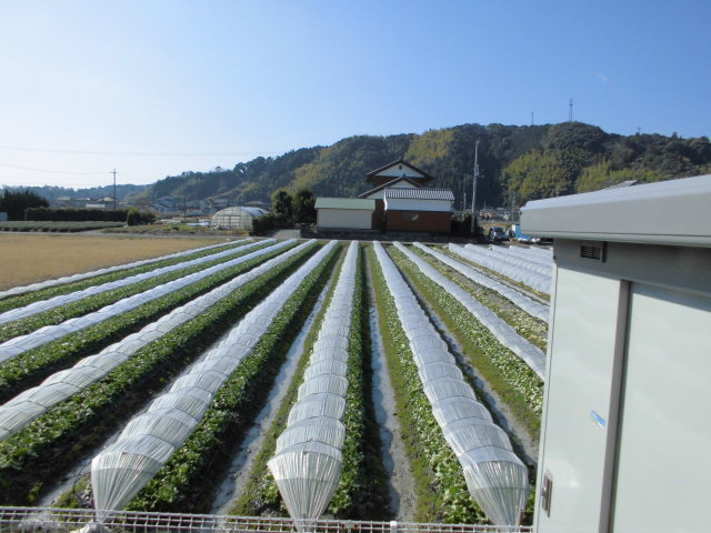 16/18 その他画像